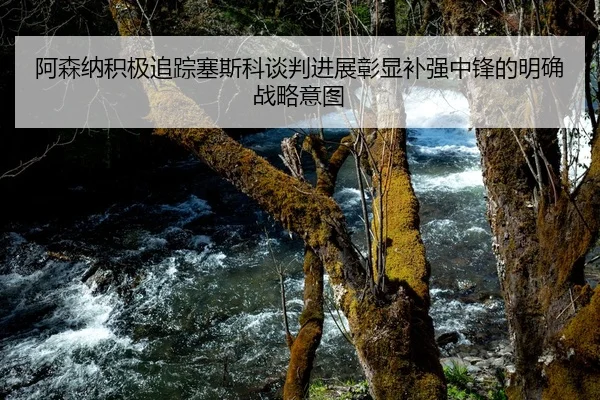 阿森纳积极追踪塞斯科谈判进展彰显补强中锋的明确战略意图