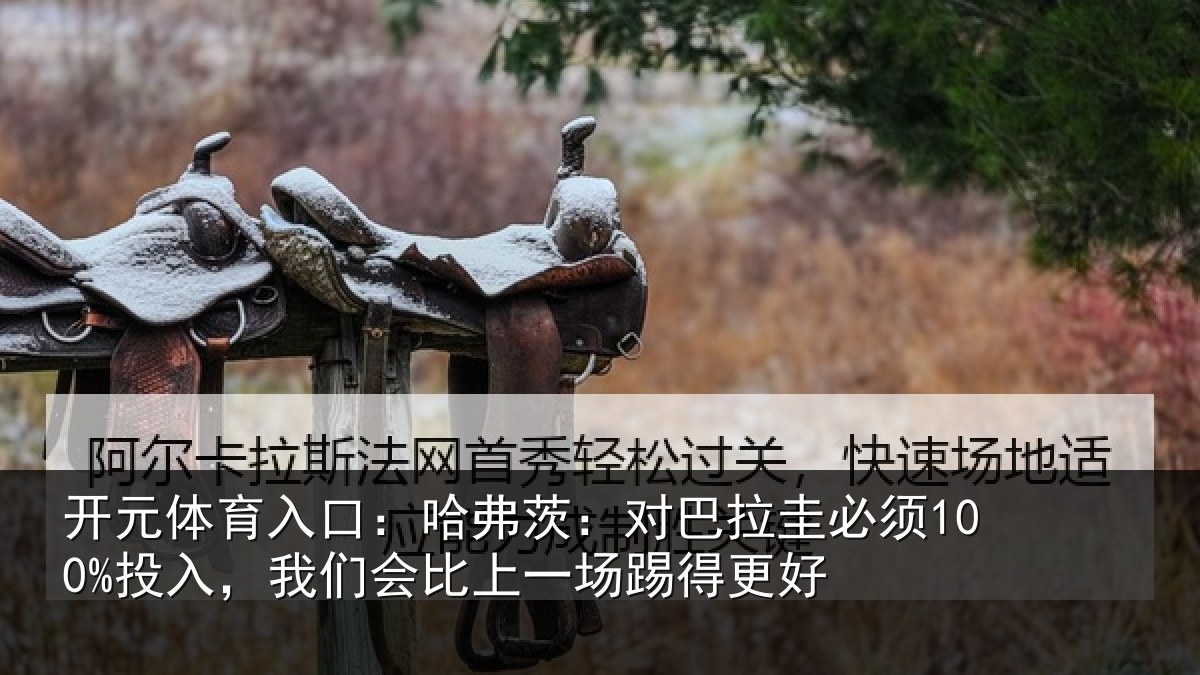 开元体育入口:哈弗相关情况入我相关情况更好