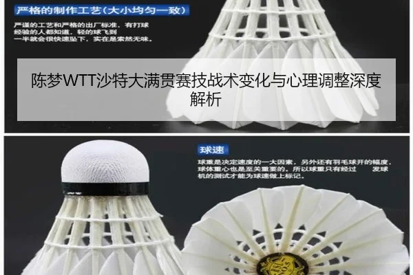 chen-meng-sha-te-da-man-guan-sai-ji-zhan-shu-bian-hua-yu-xin-li-tiao-zheng-shen-du-jie-xi-2-138.jpg