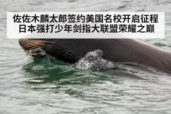 佐佐木麟太郎签约美国名校开启征程 日本强打少年剑指大联盟荣耀之巅